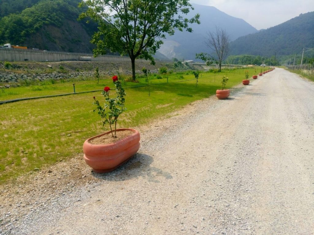 Yuvarlak-Kırmızı-Beton-Saksı-Uygulaması