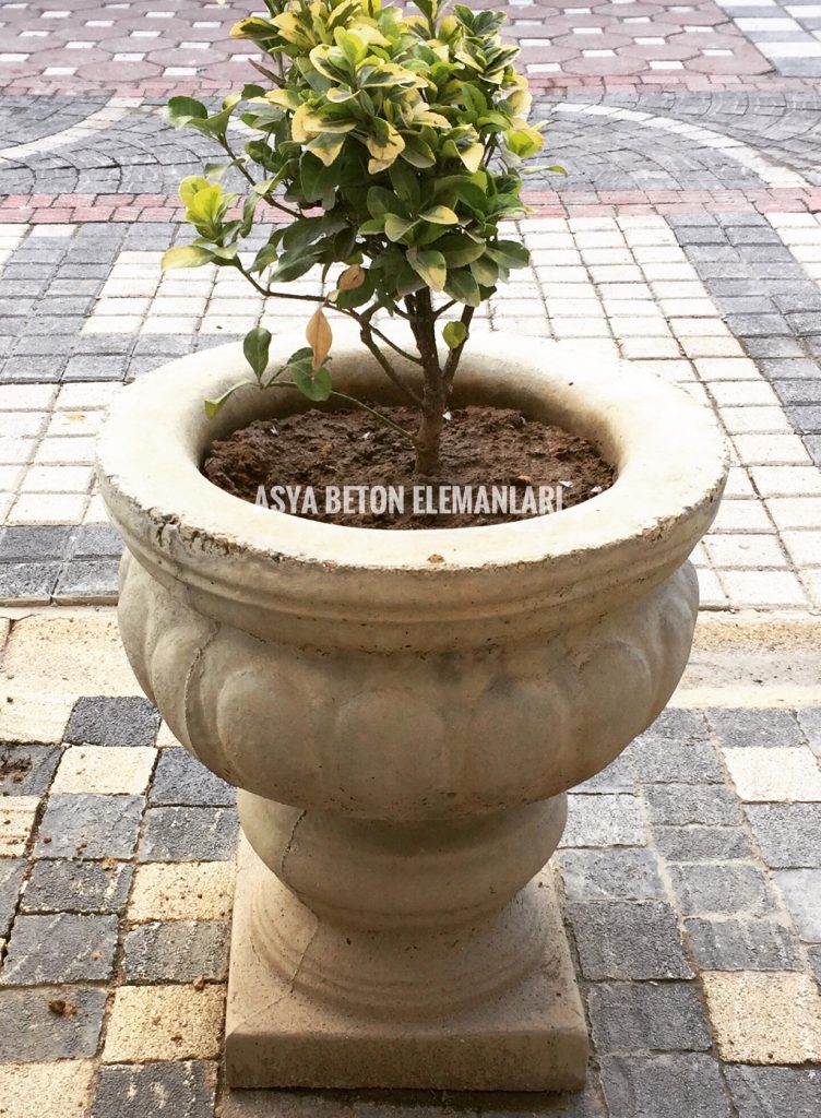 Kadeh Desenli Beton Saksı